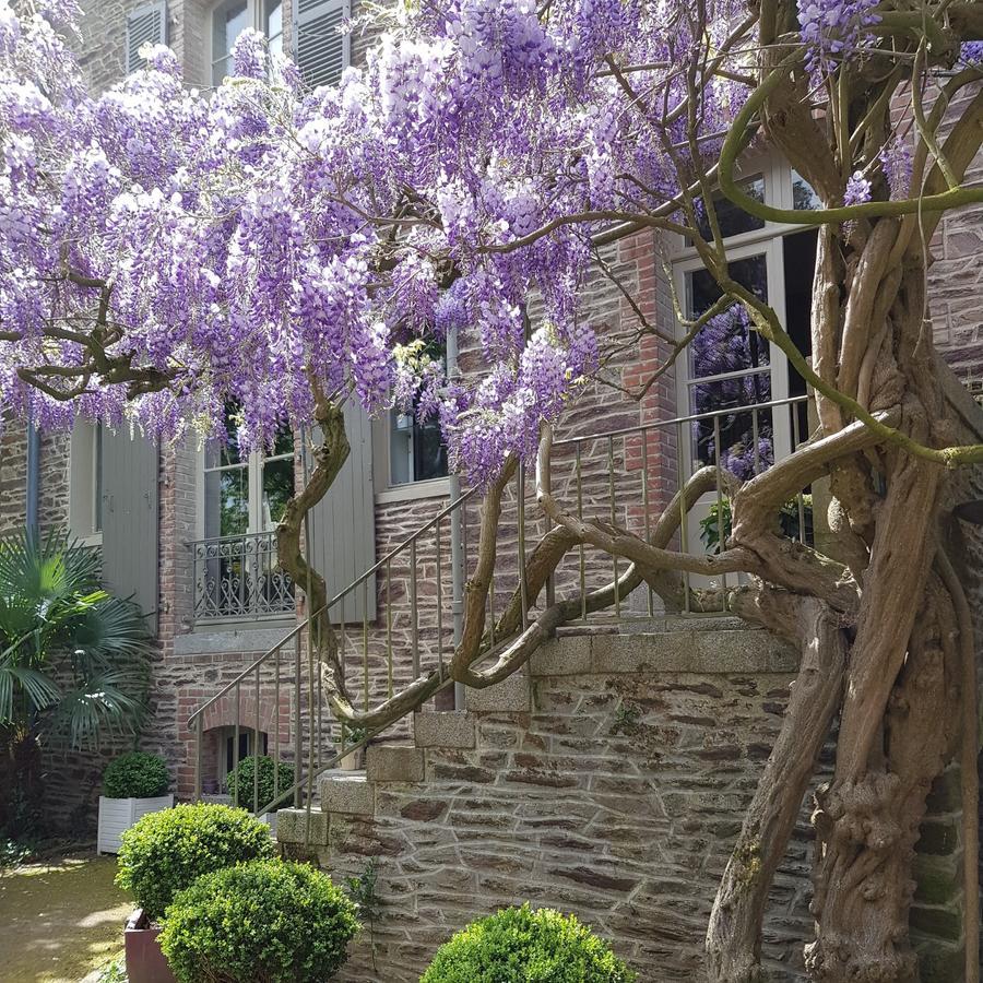 Bed and Breakfast Castel Jolly Rennes Exteriér fotografie